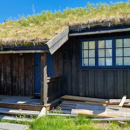 Charming With Views In Valdres *