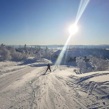 Charming With Views In Valdres Aurdal